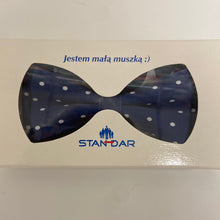 Load image into Gallery viewer, Stan Dar Boys pocket square and bow tie set
